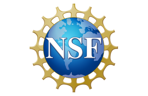 nsf official logo med res 600ppi rectangle.png